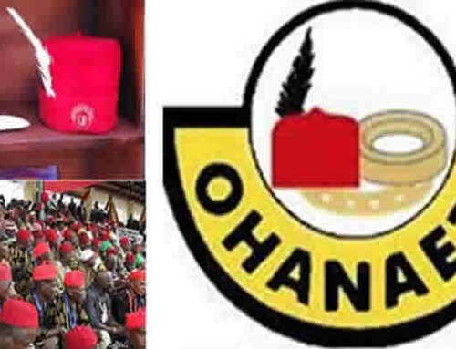 Ohanaeze Ndigbo begs the North to support Igbo presidency in 2023 election