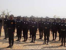 Bandit attacks: Kaduna youths recieve armed combat training